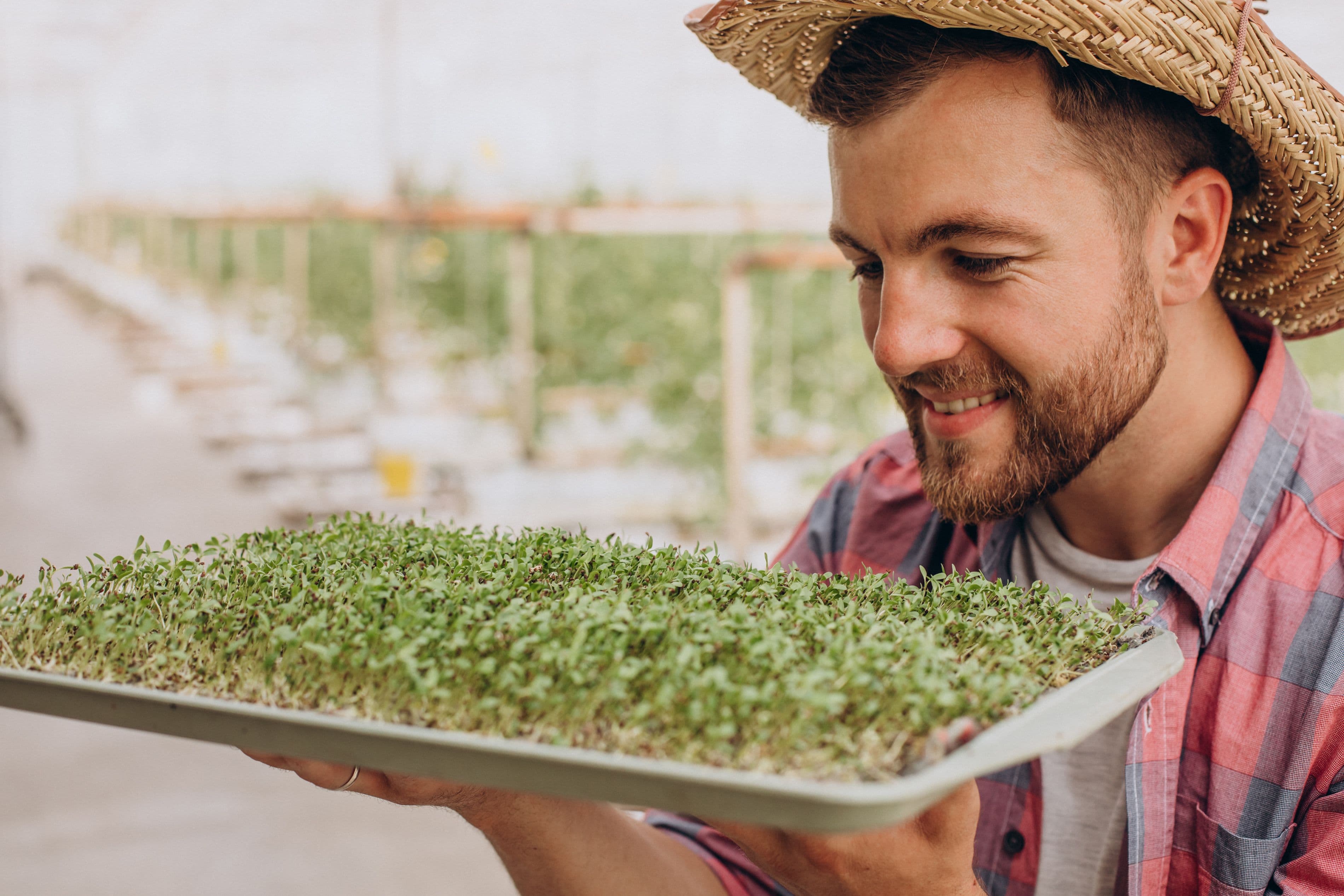 From Seed to Plate: The Best Microgreens to Grow for Maximum Flavor and Nutrition