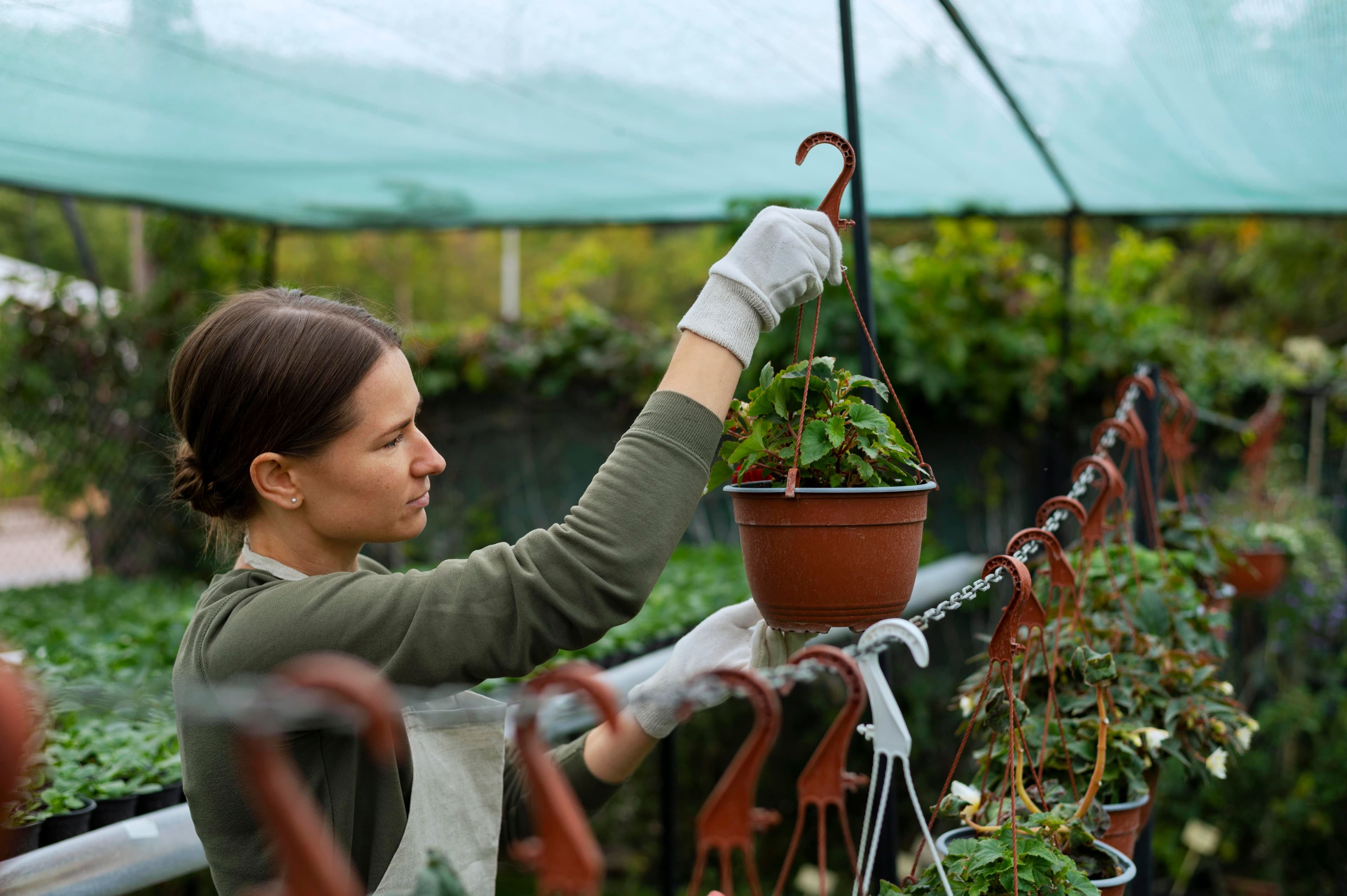 Urban Gardening Made Easy: Organic Gardening Ideas for Small Balconies and Patios