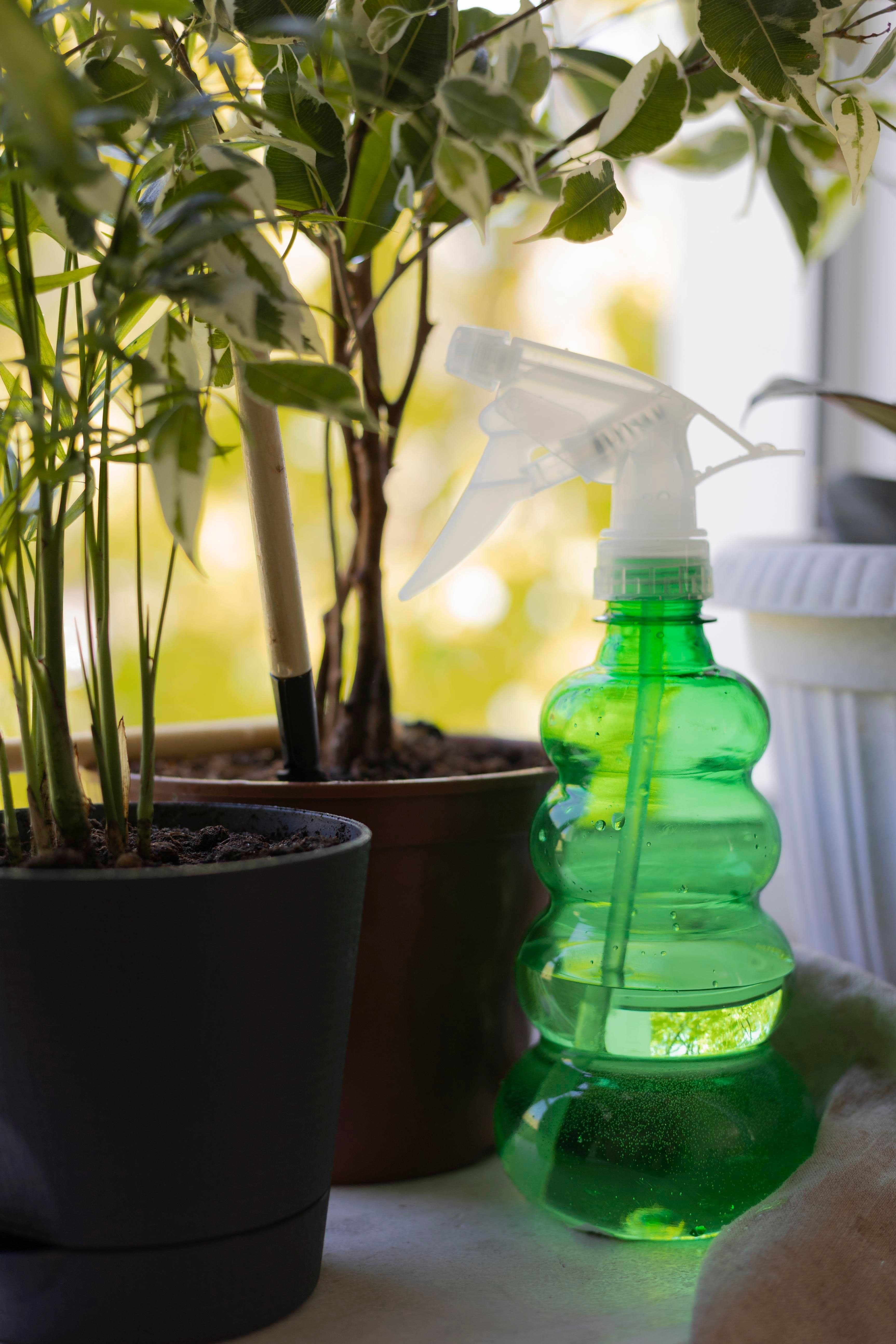 Why Sustainable Organic Cleaners Are the Future: Eco-Friendly Tips for a Greener Home and Planet