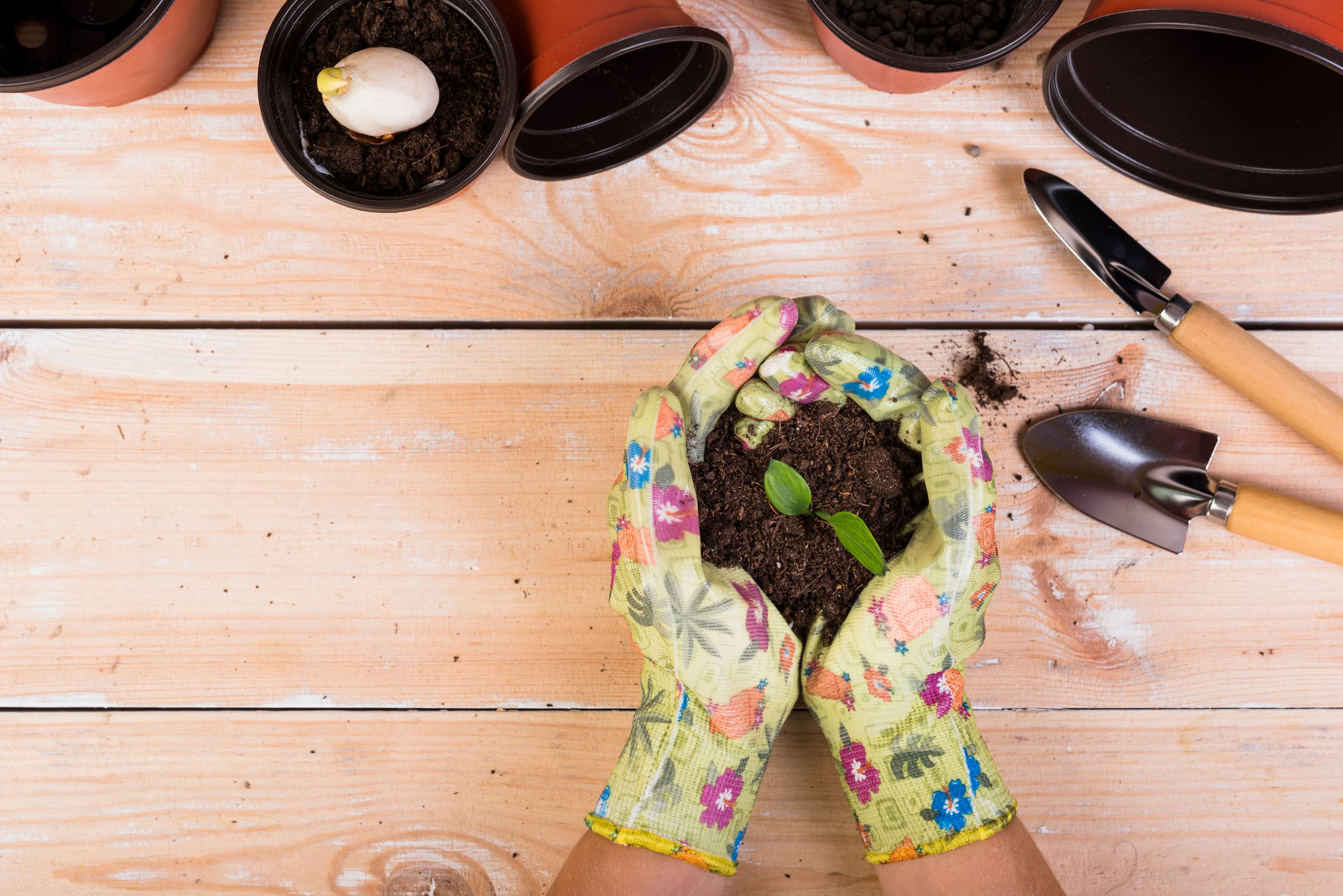 Sustainable Gardening: Tips for Preparing Compost and Keeping Your Organic Garden Flourishing